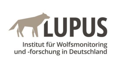 LUPUS Institut für Wolfsmonitoring und -forschung in Deutschland