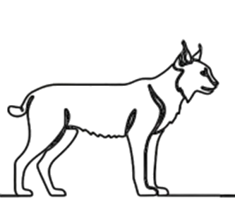 Silhouettenskizze eines Luchs'