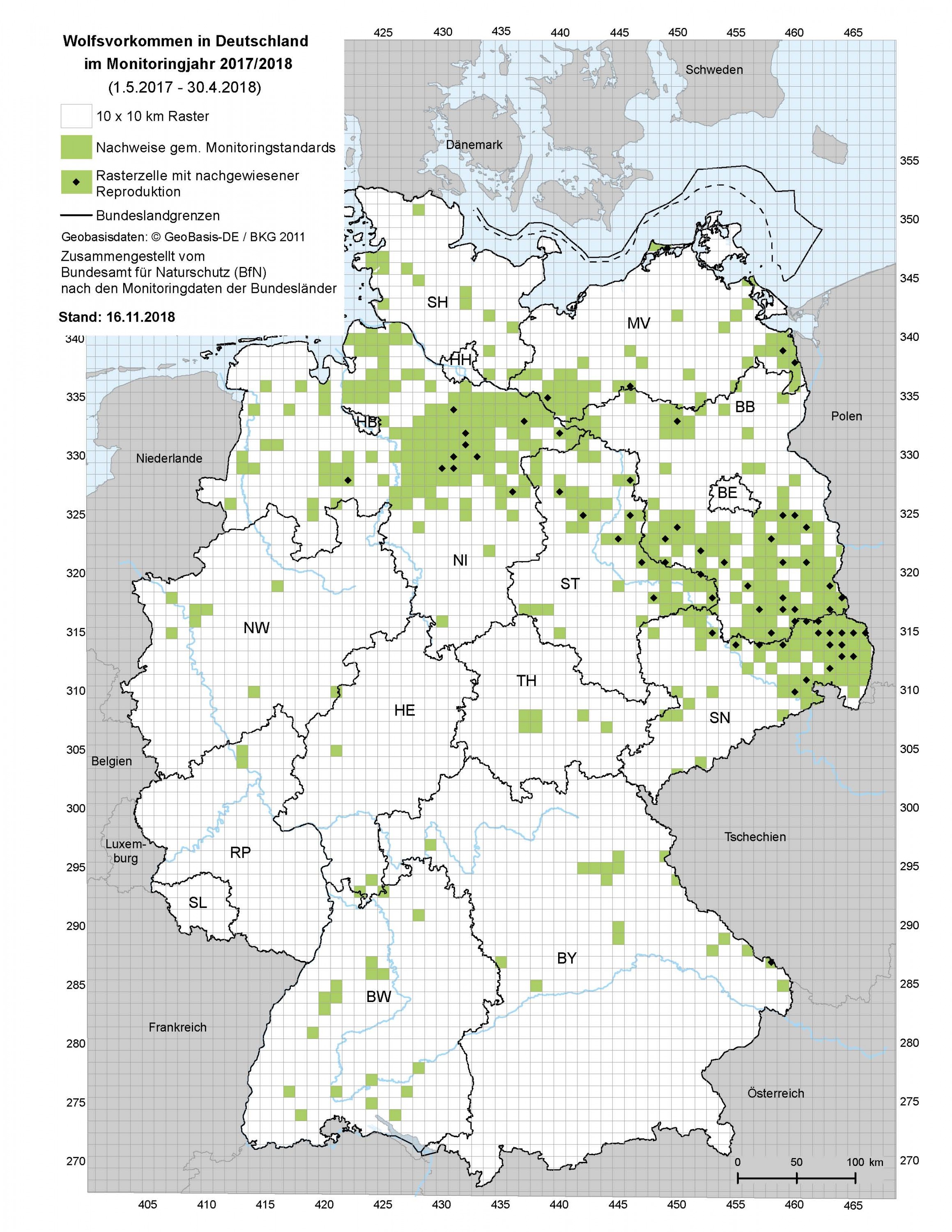 Wolfsvorkommen - besetzte Rasterzellen - DBBW